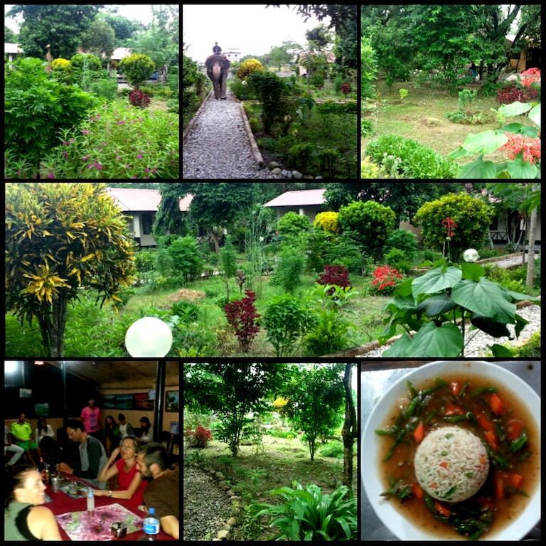 Chitwan Safari Camp & Lodge Sauraha Exterior photo
