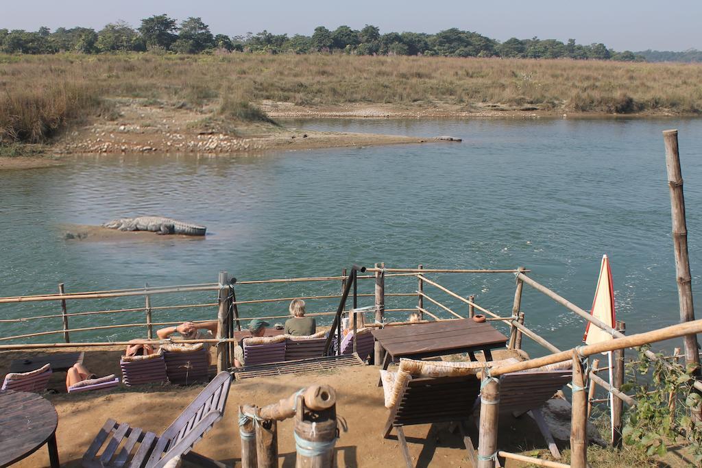 Chitwan Safari Camp & Lodge Sauraha Exterior photo