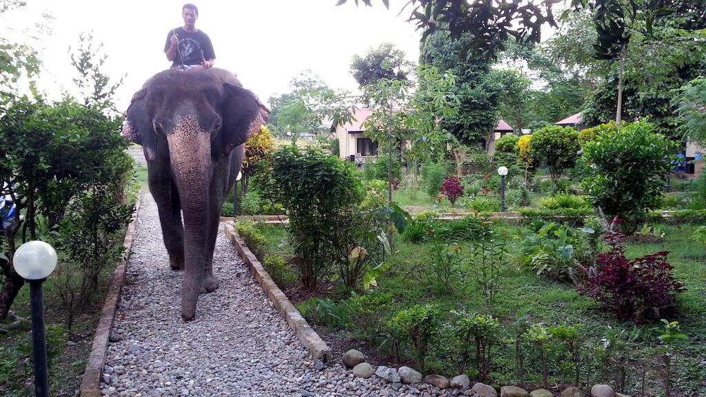 Chitwan Safari Camp & Lodge Sauraha Exterior photo