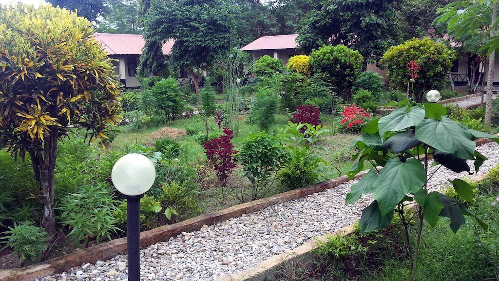 Chitwan Safari Camp & Lodge Sauraha Exterior photo