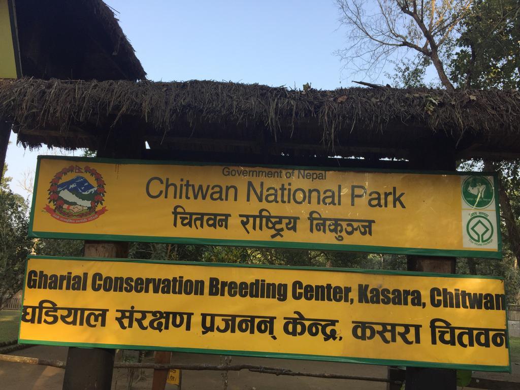 Chitwan Safari Camp & Lodge Sauraha Exterior photo