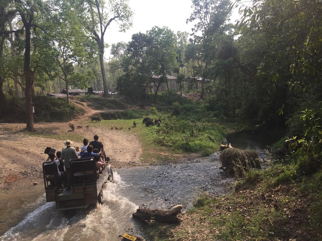 Chitwan Safari Camp & Lodge Sauraha Exterior photo