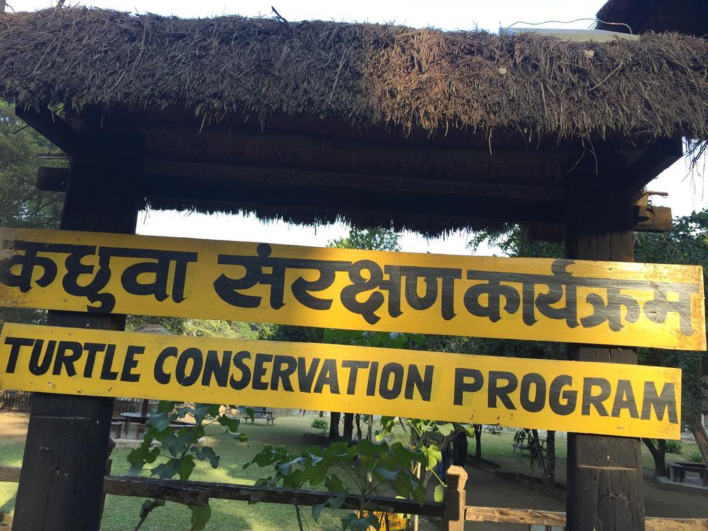 Chitwan Safari Camp & Lodge Sauraha Exterior photo