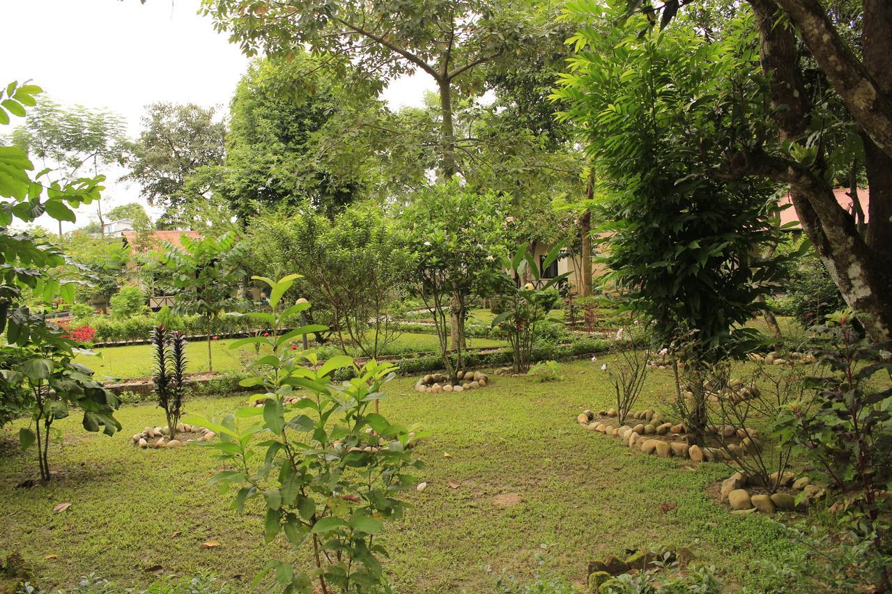 Chitwan Safari Camp & Lodge Sauraha Exterior photo