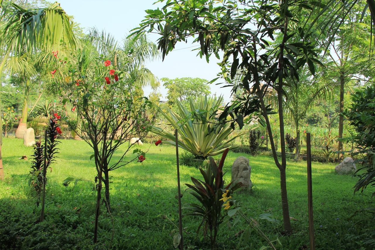 Chitwan Safari Camp & Lodge Sauraha Exterior photo