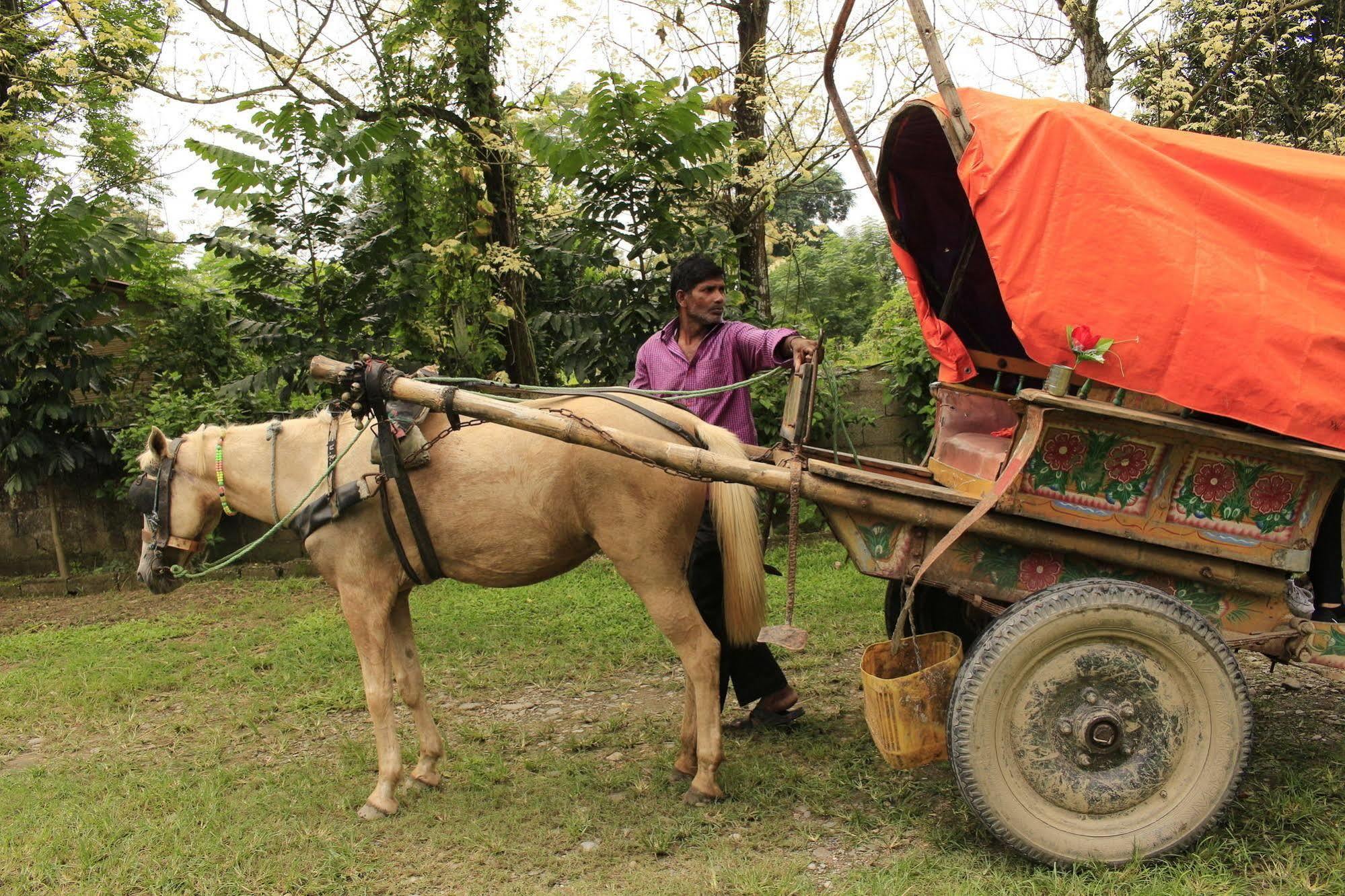 Chitwan Safari Camp & Lodge Sauraha Exterior photo
